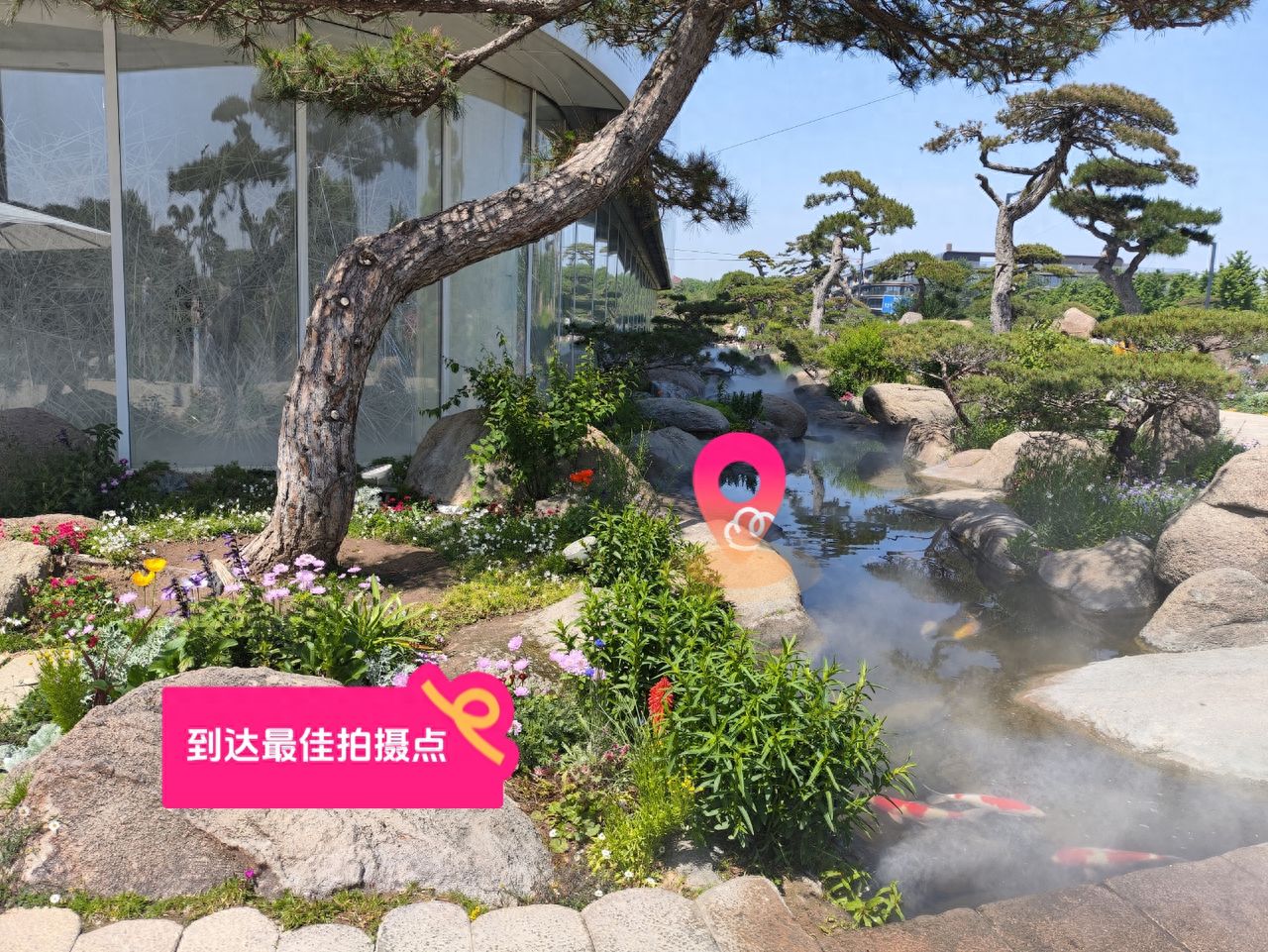 null — step-by-step photo guide