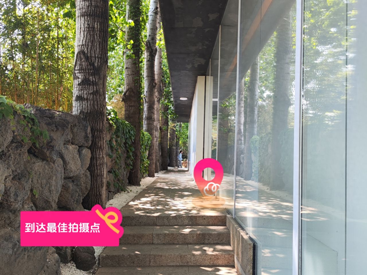 null — step-by-step photo guide