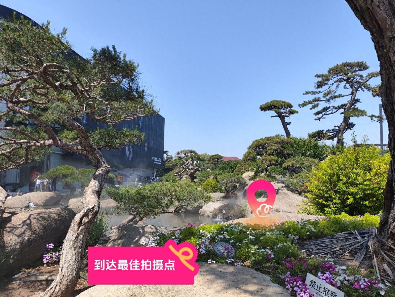 null — step-by-step photo guide