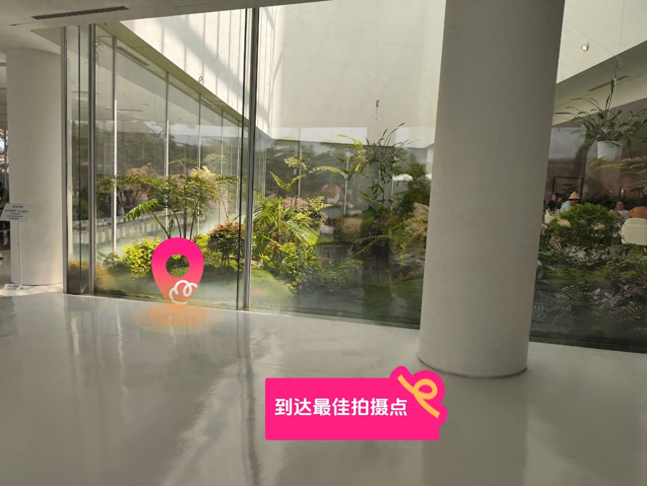 null — step-by-step photo guide