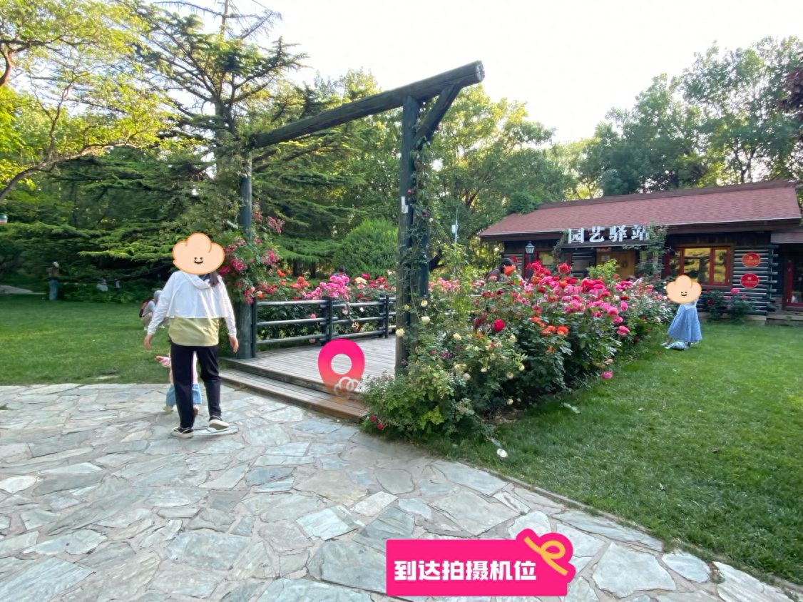 null — step-by-step photo guide