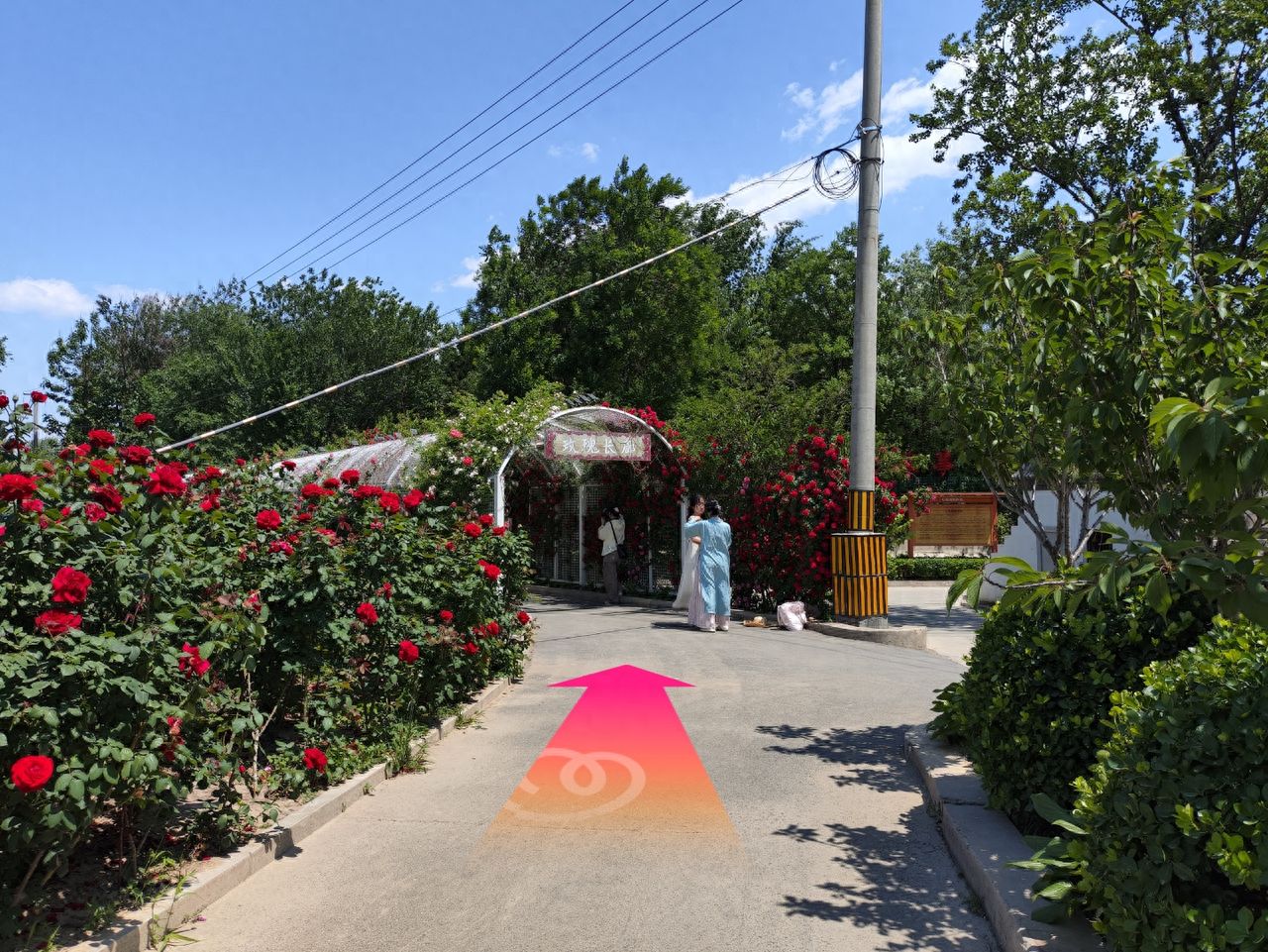 null — step-by-step photo guide