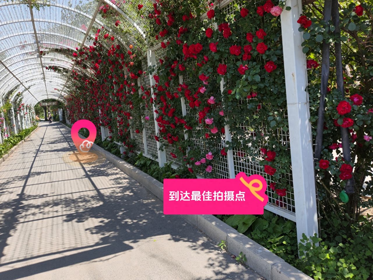 null — step-by-step photo guide