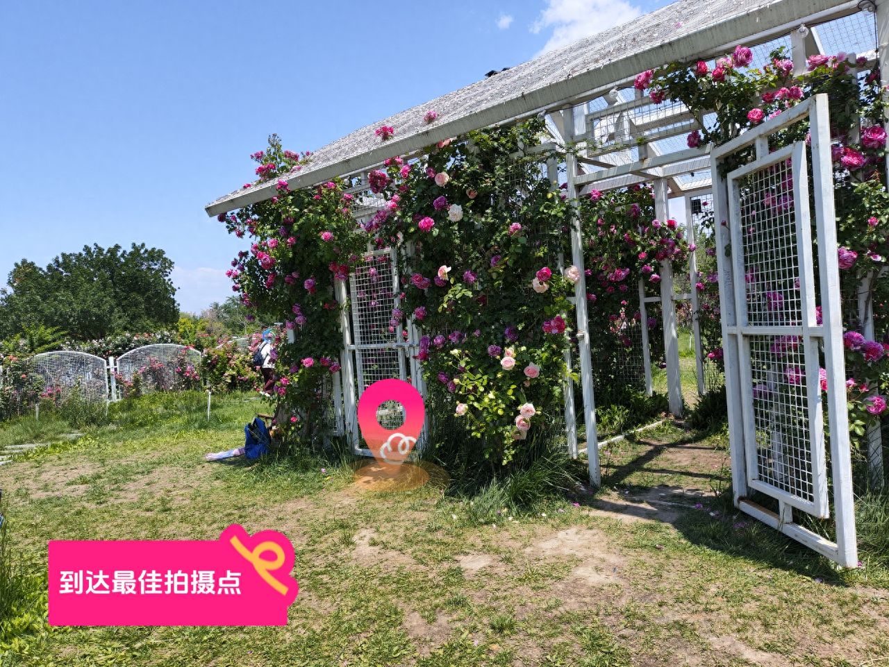 null — step-by-step photo guide