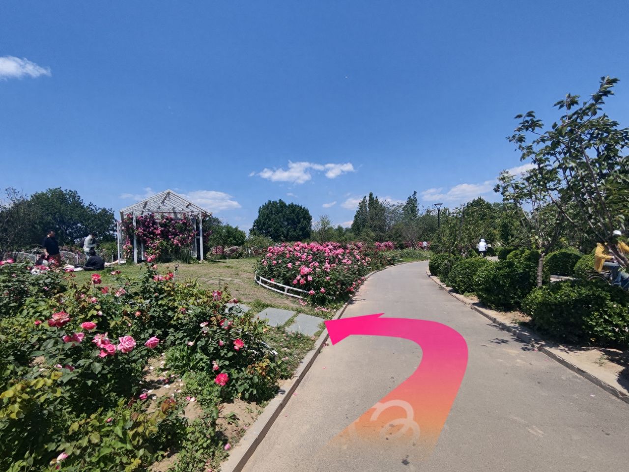 null — step-by-step photo guide