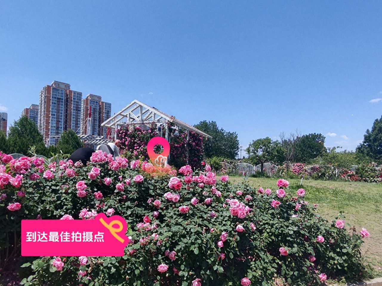 null — step-by-step photo guide