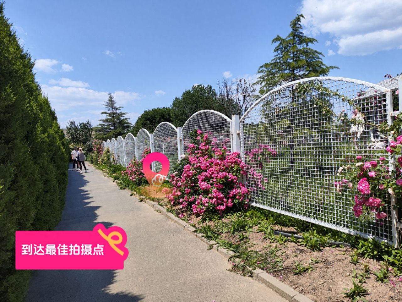 null — step-by-step photo guide