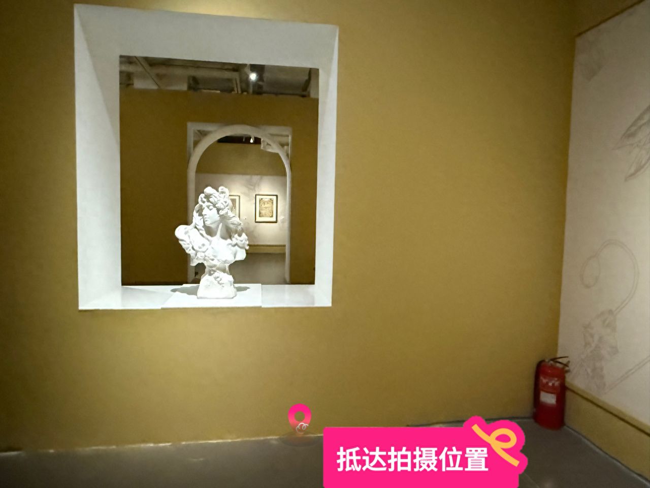 null — step-by-step photo guide