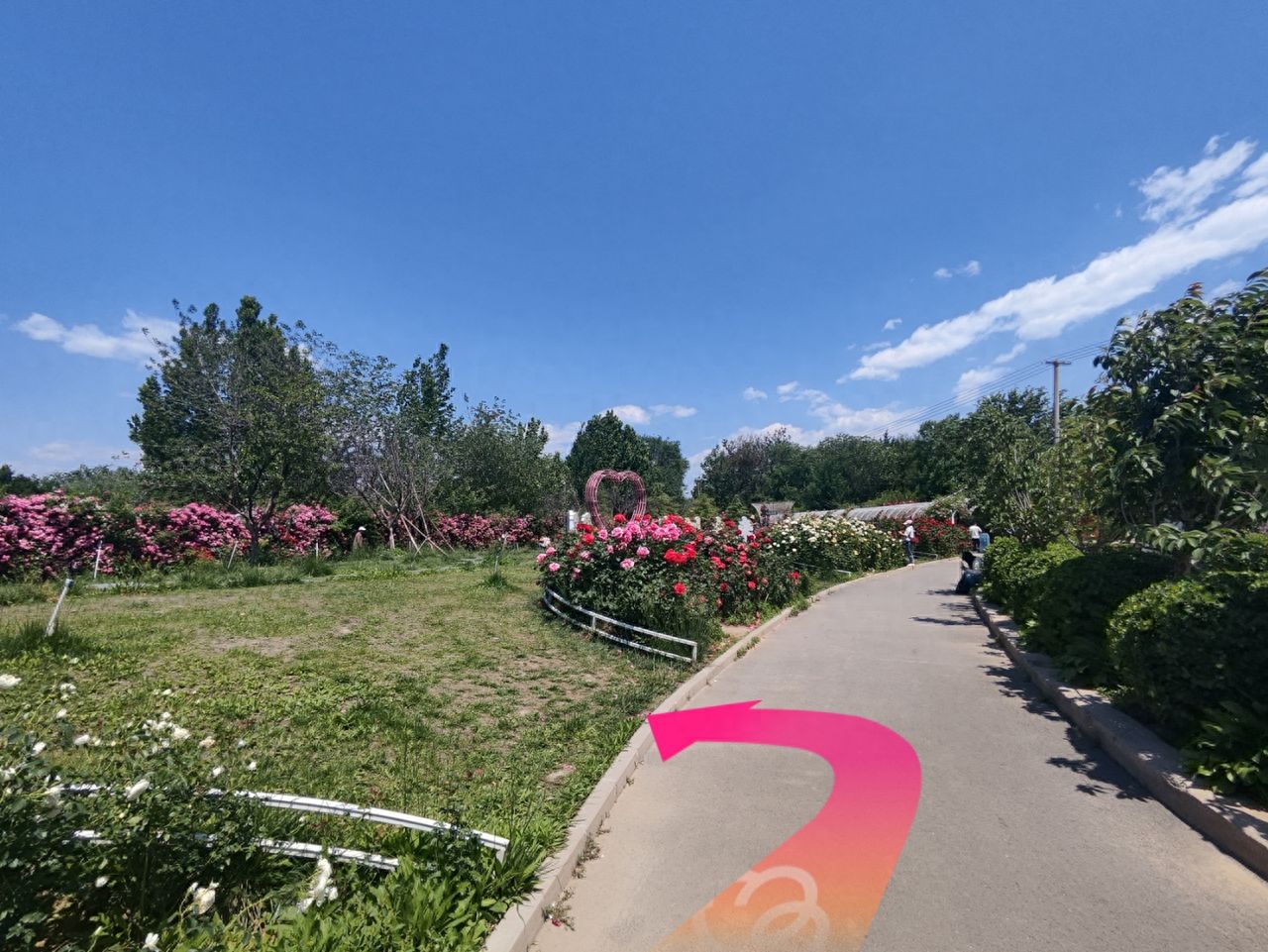 null — step-by-step photo guide