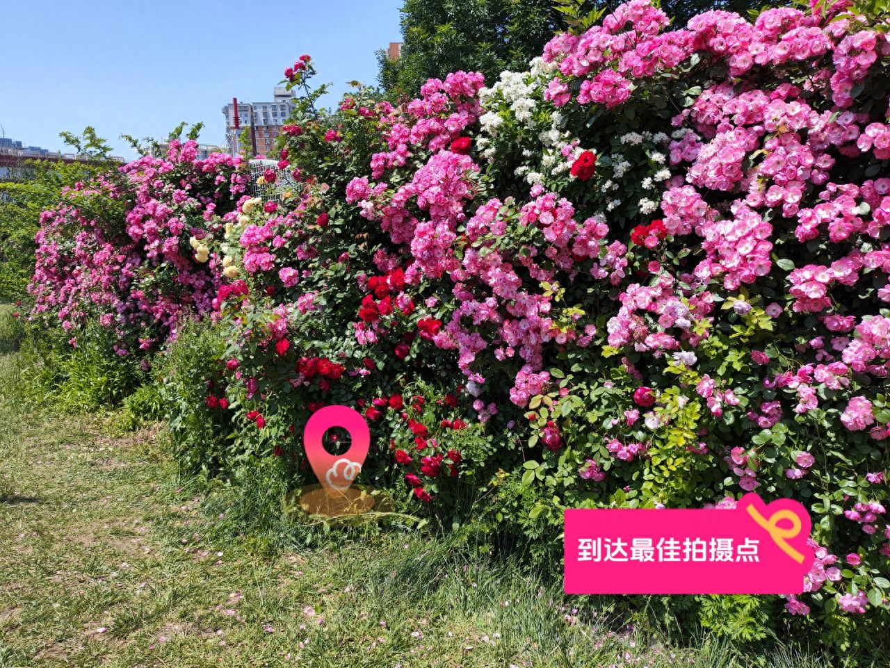 null — step-by-step photo guide