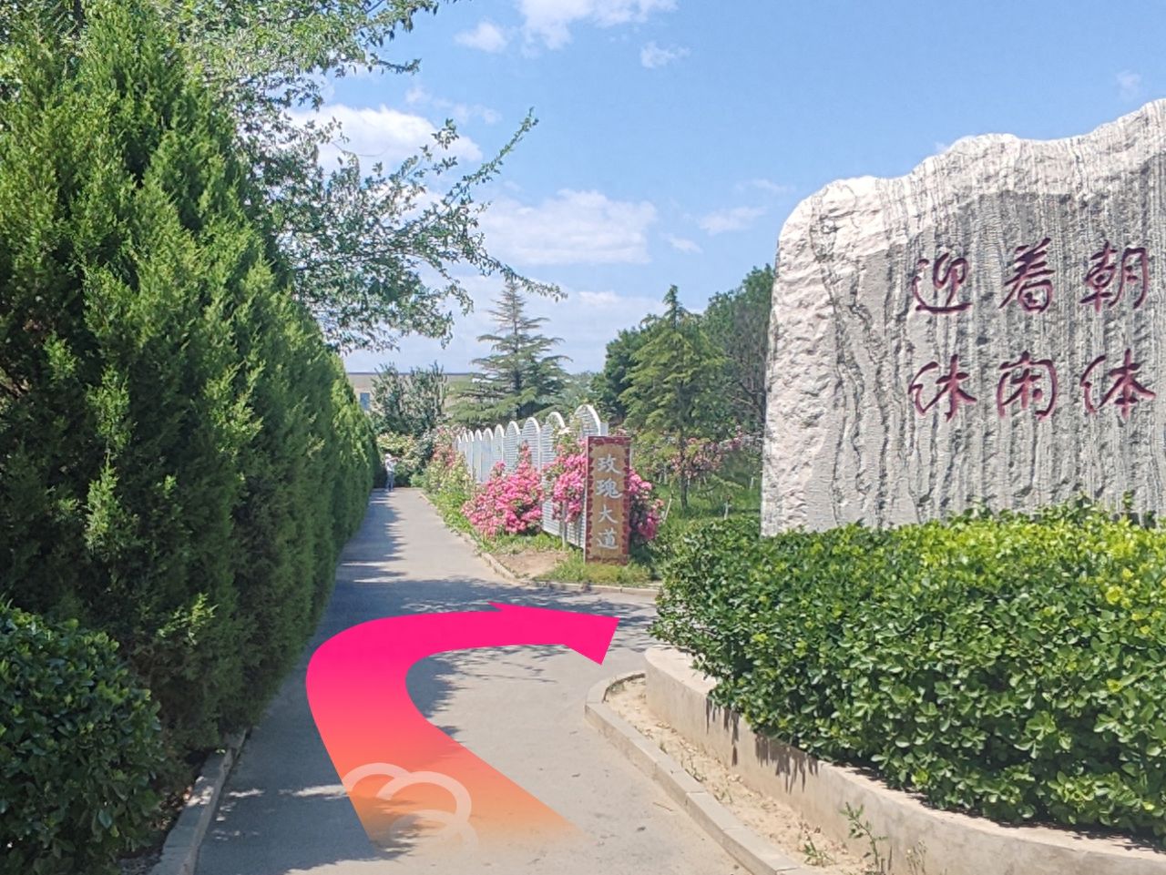 null — step-by-step photo guide