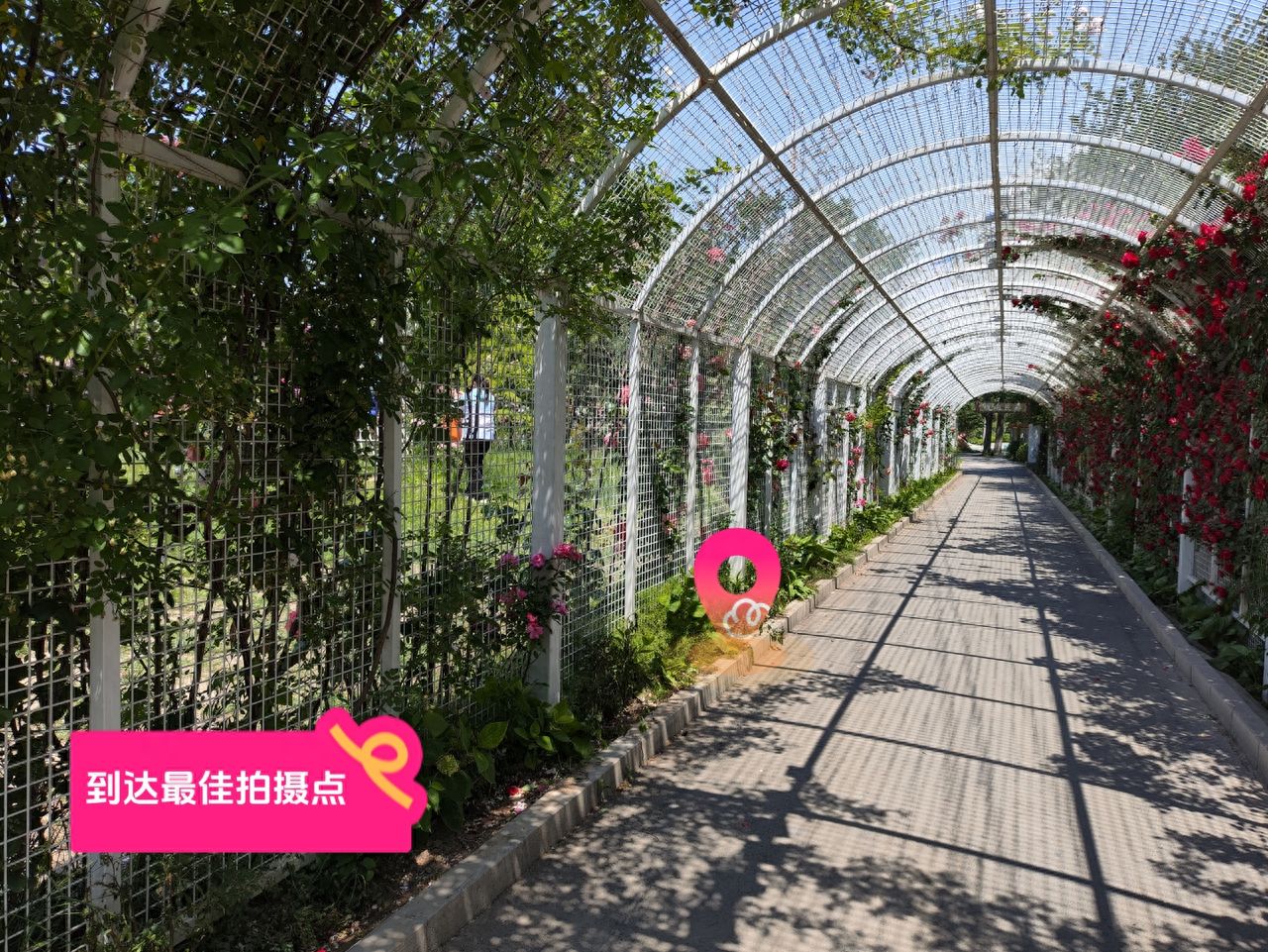 null — step-by-step photo guide