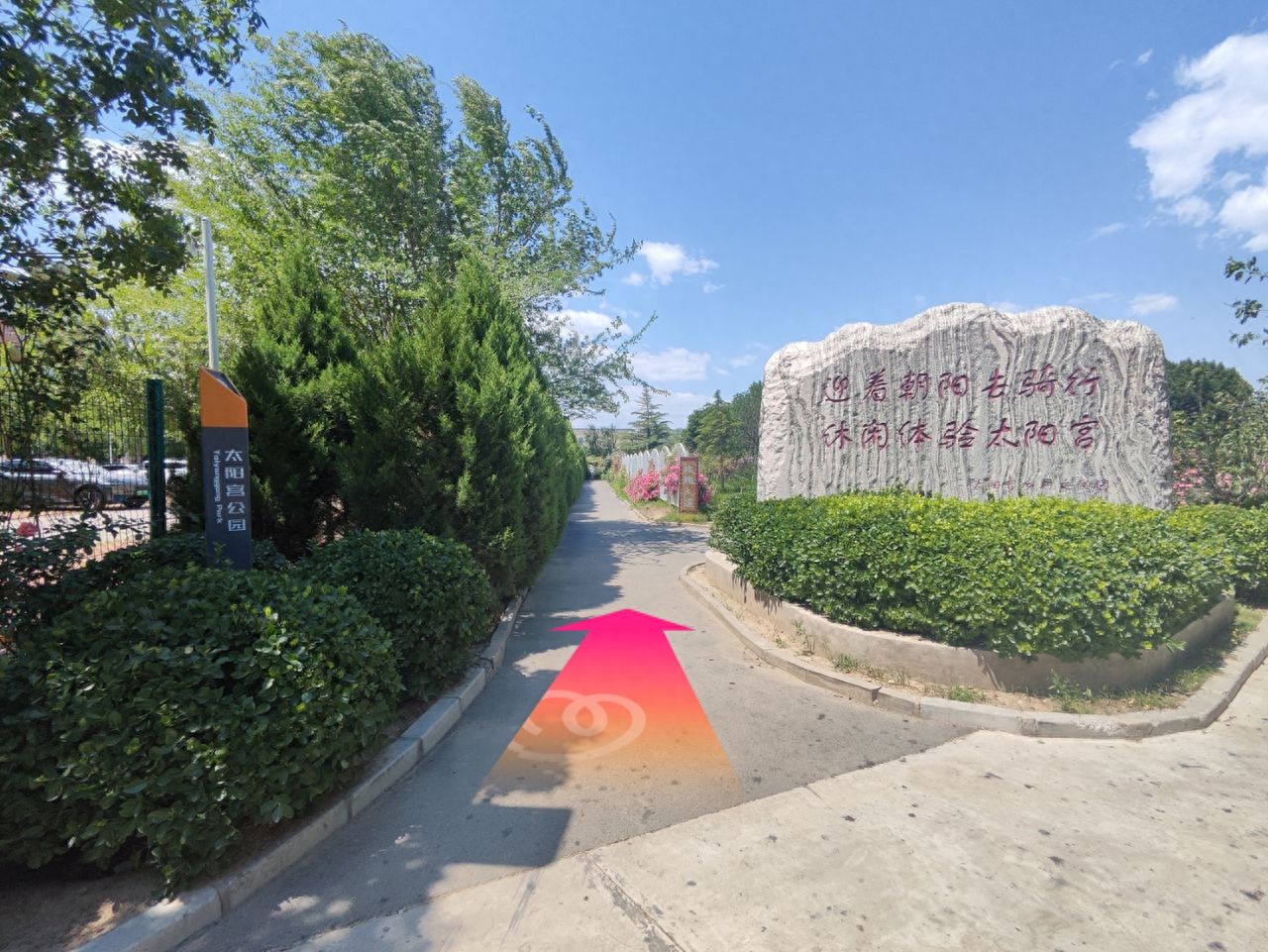 null — step-by-step photo guide