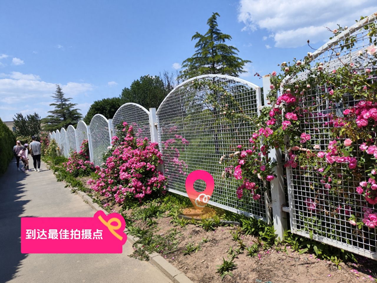 null — step-by-step photo guide