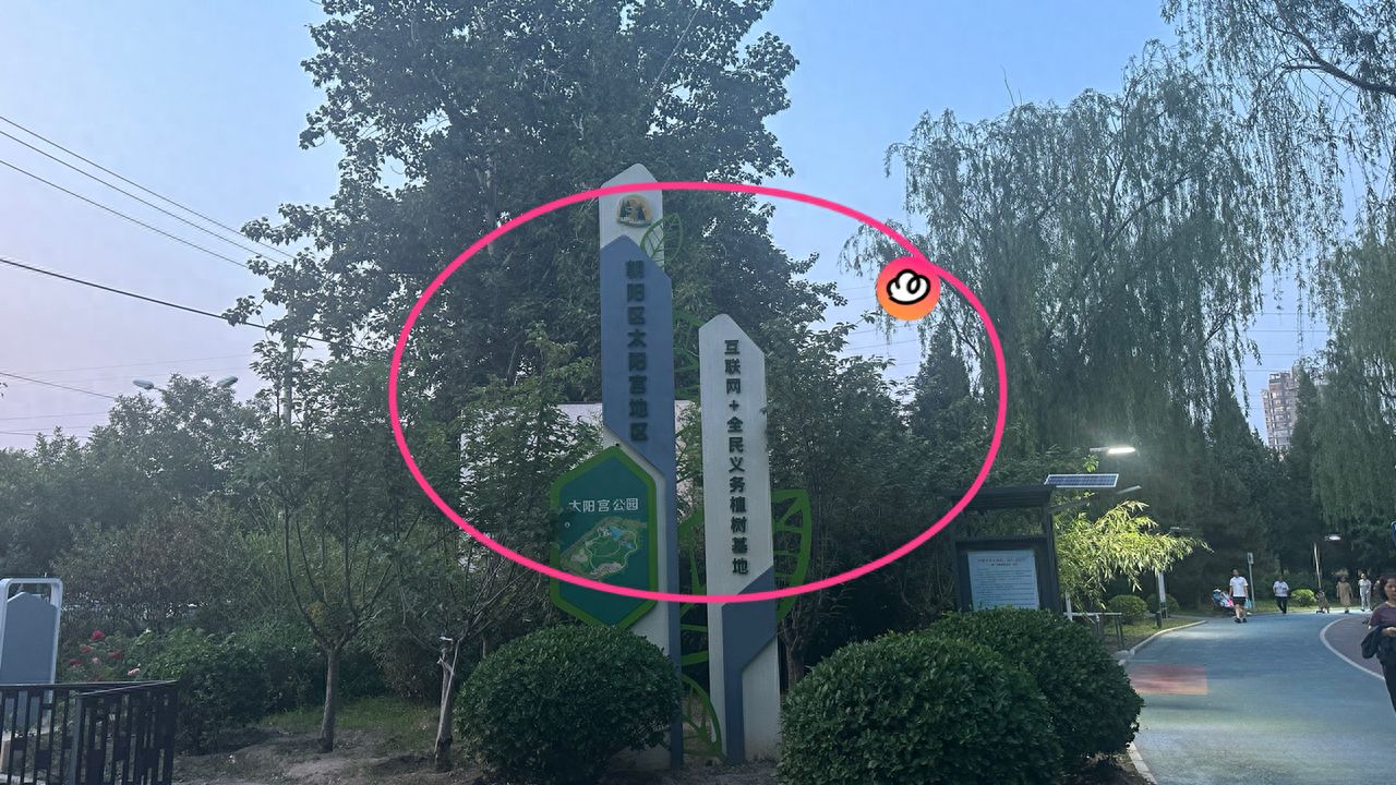 null — step-by-step photo guide