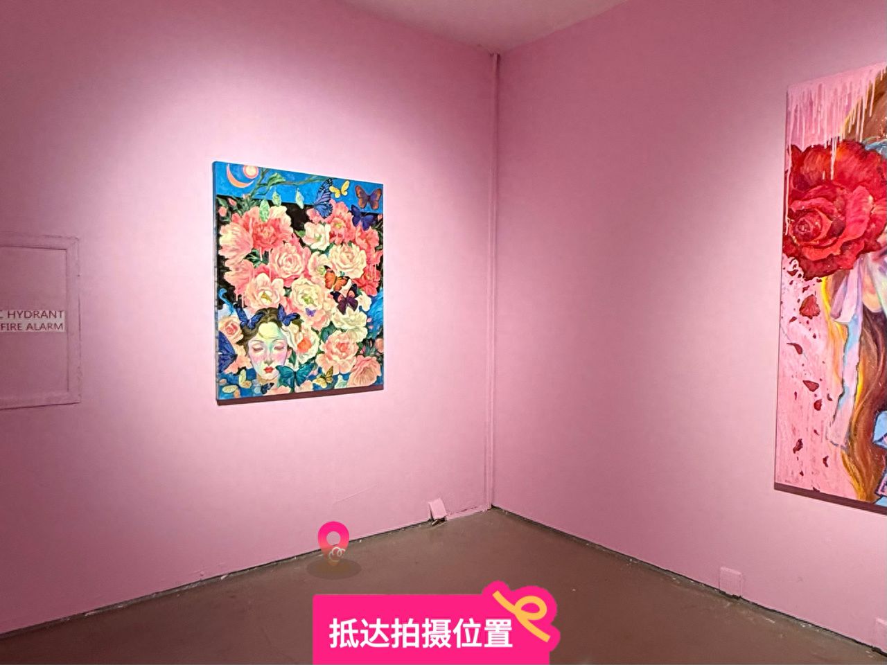 null — step-by-step photo guide