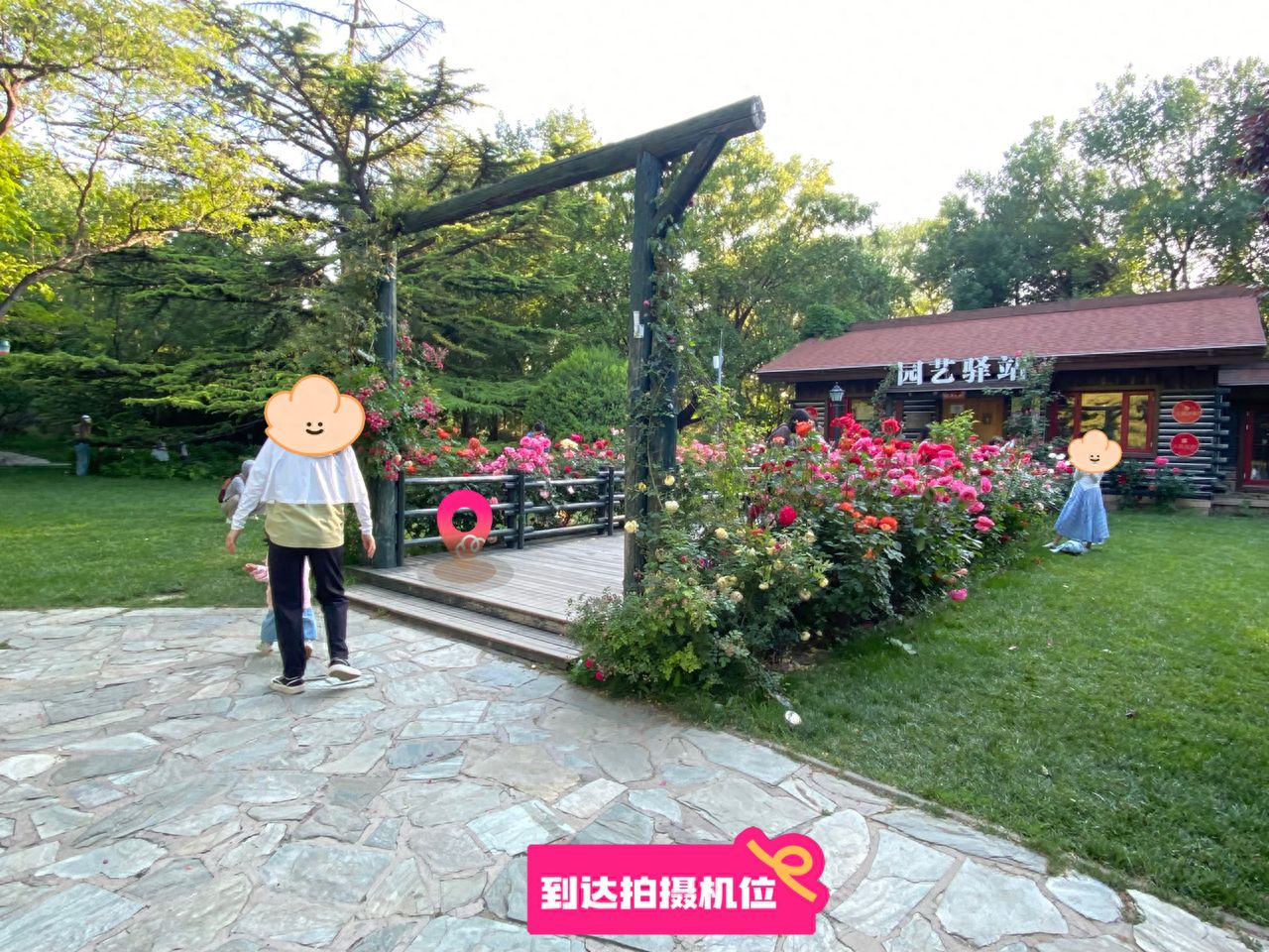 null — step-by-step photo guide