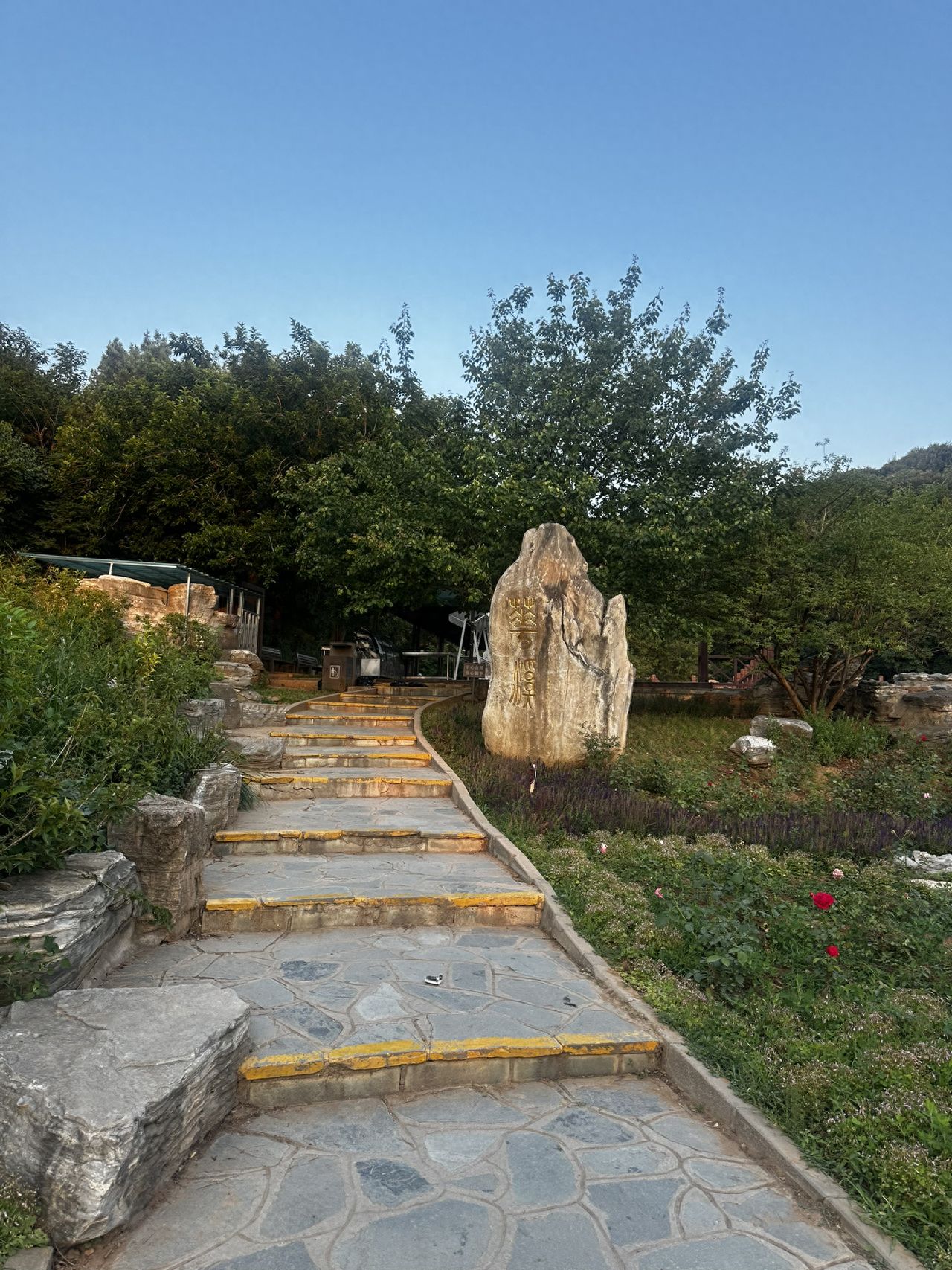 null — step-by-step photo guide