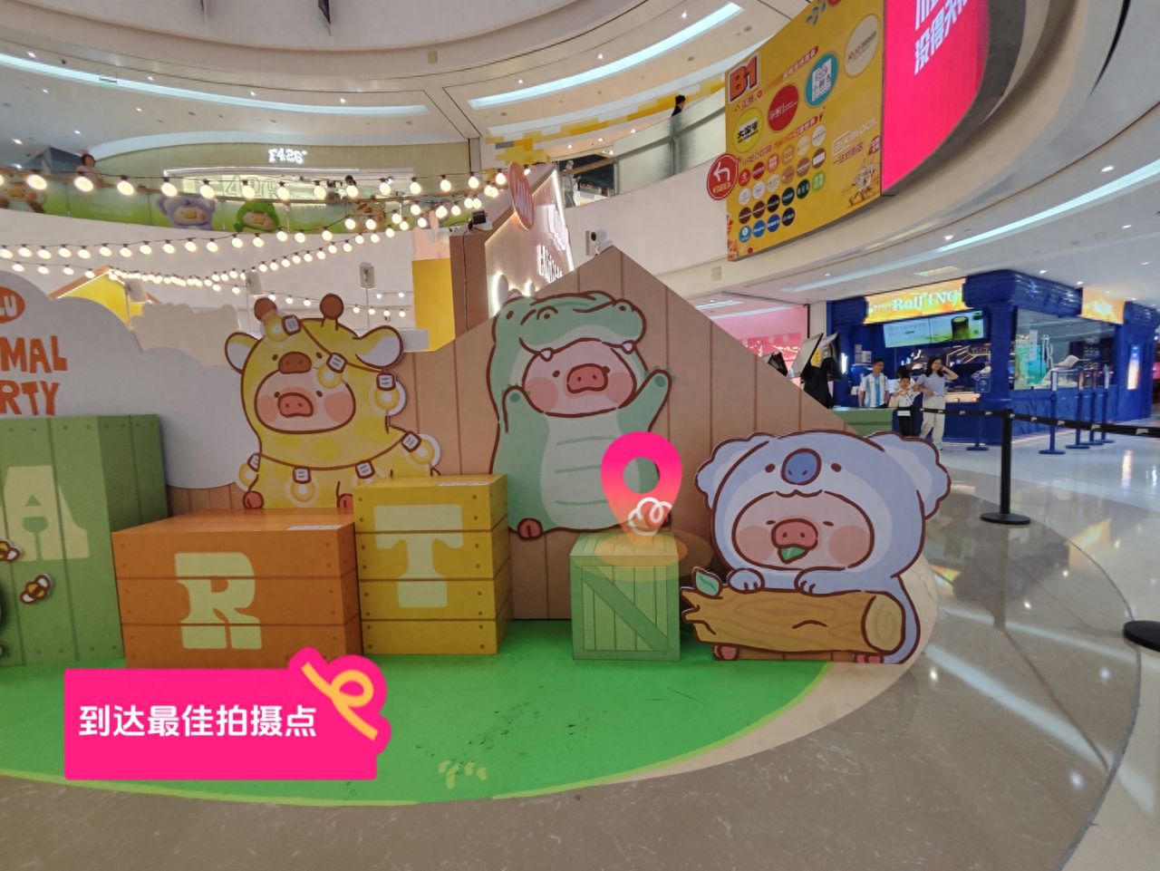 null — step-by-step photo guide