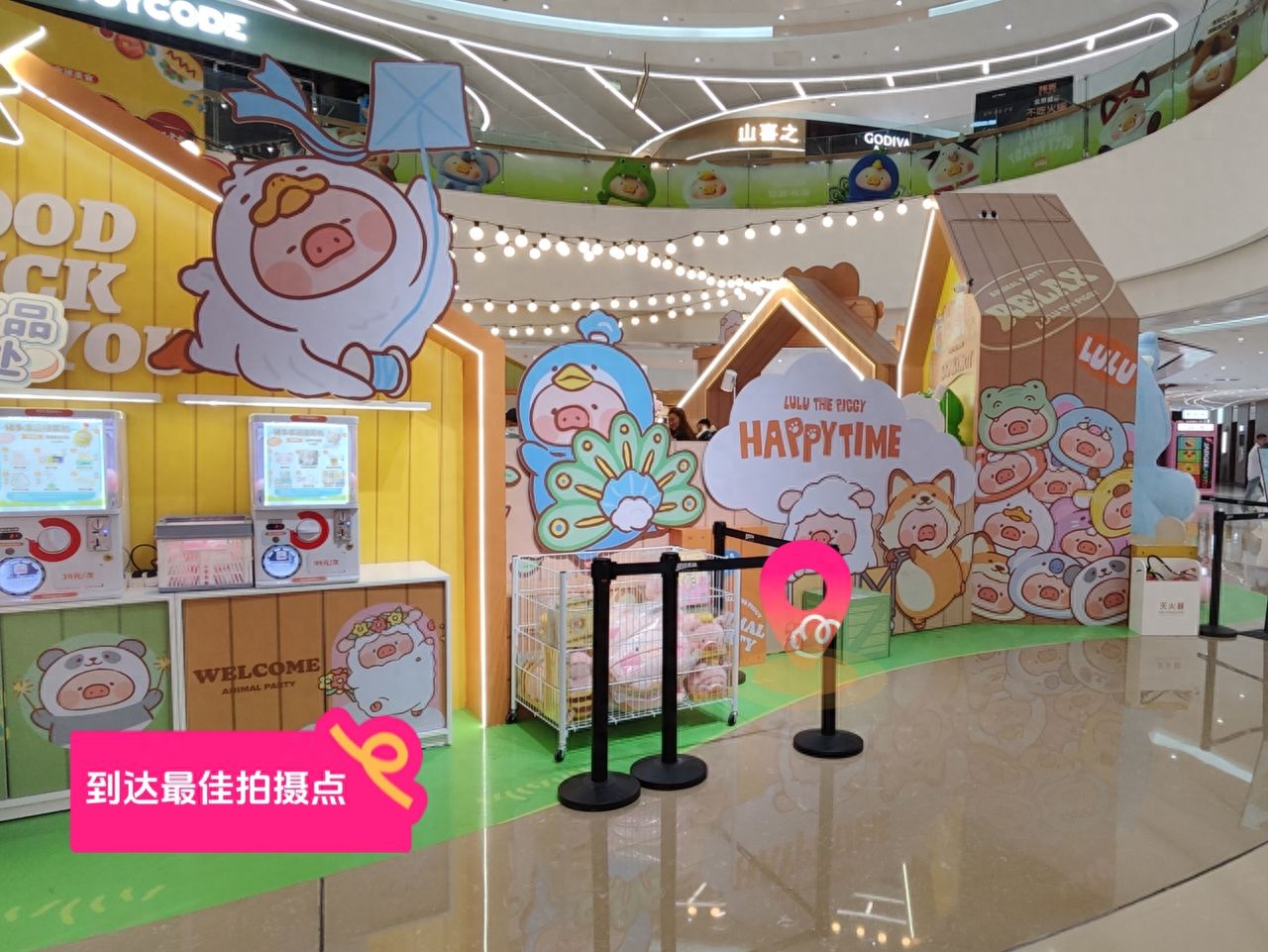 null — step-by-step photo guide