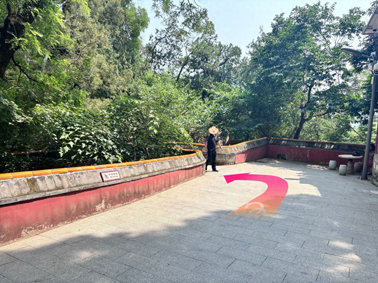 null — step-by-step photo guide