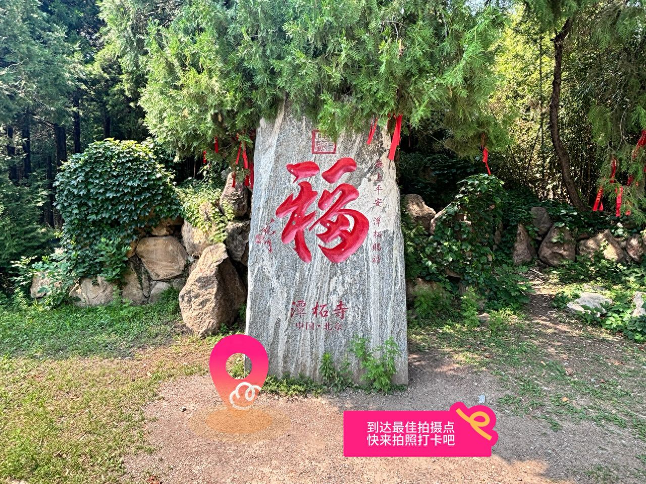 null — step-by-step photo guide