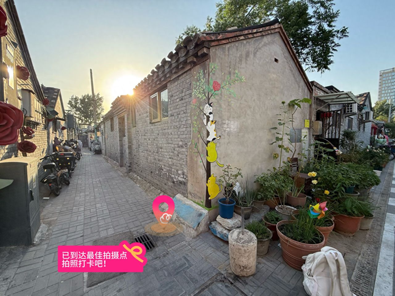 null — step-by-step photo guide