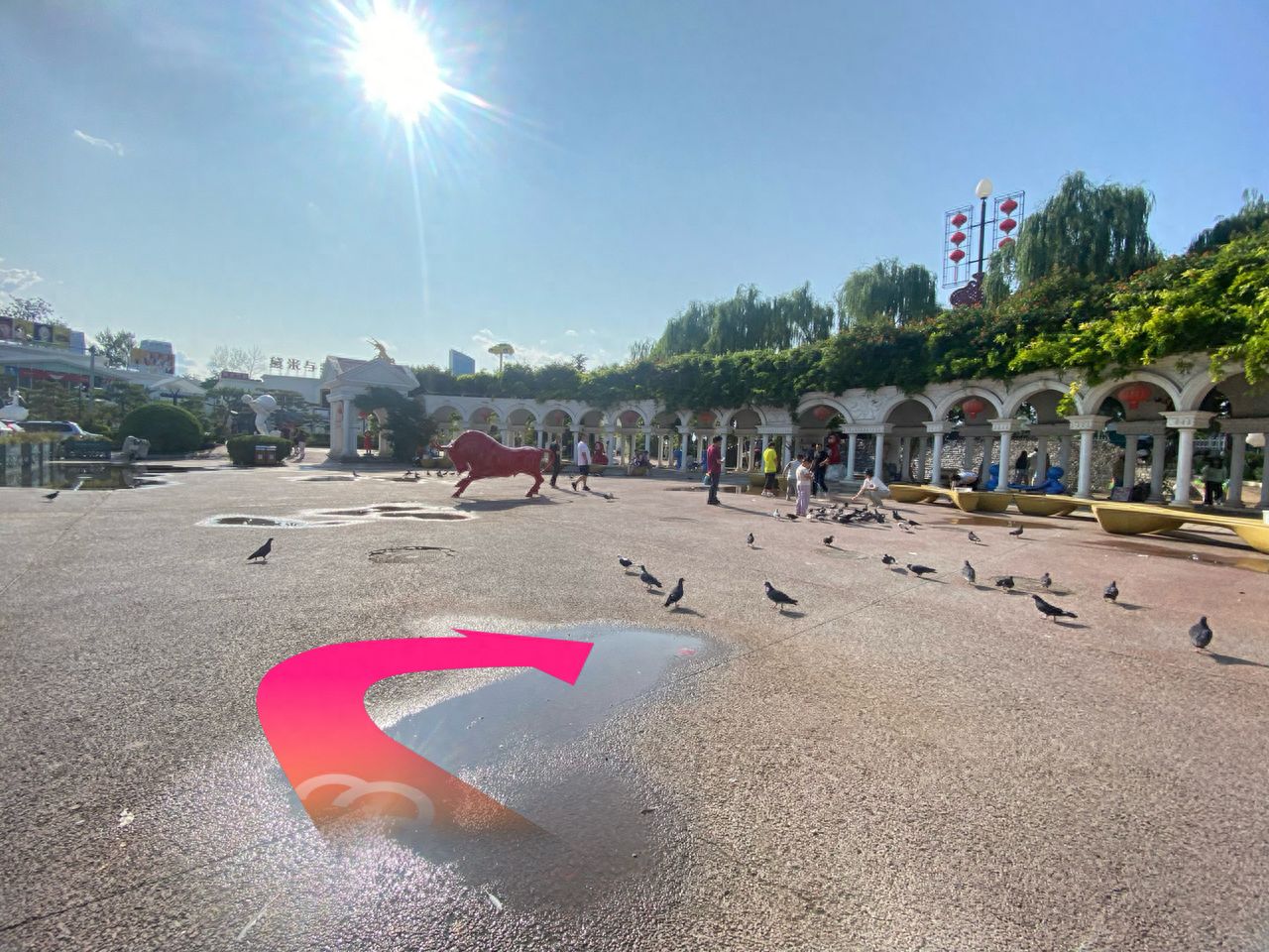 null — step-by-step photo guide