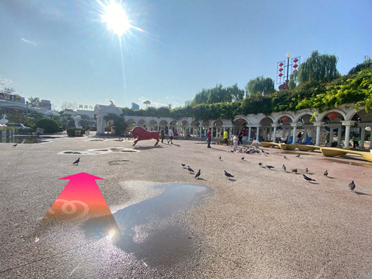 null — step-by-step photo guide