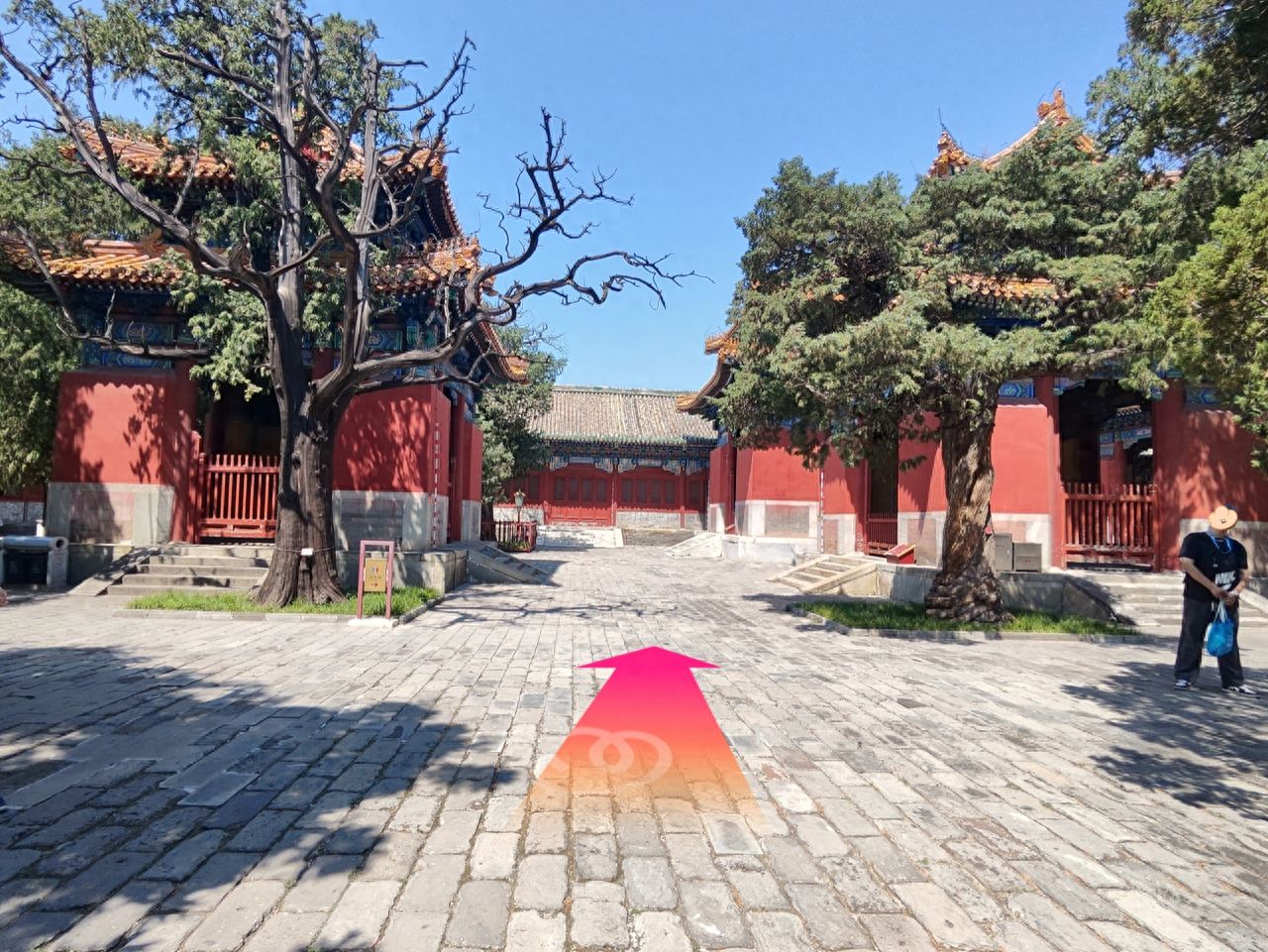 null — step-by-step photo guide