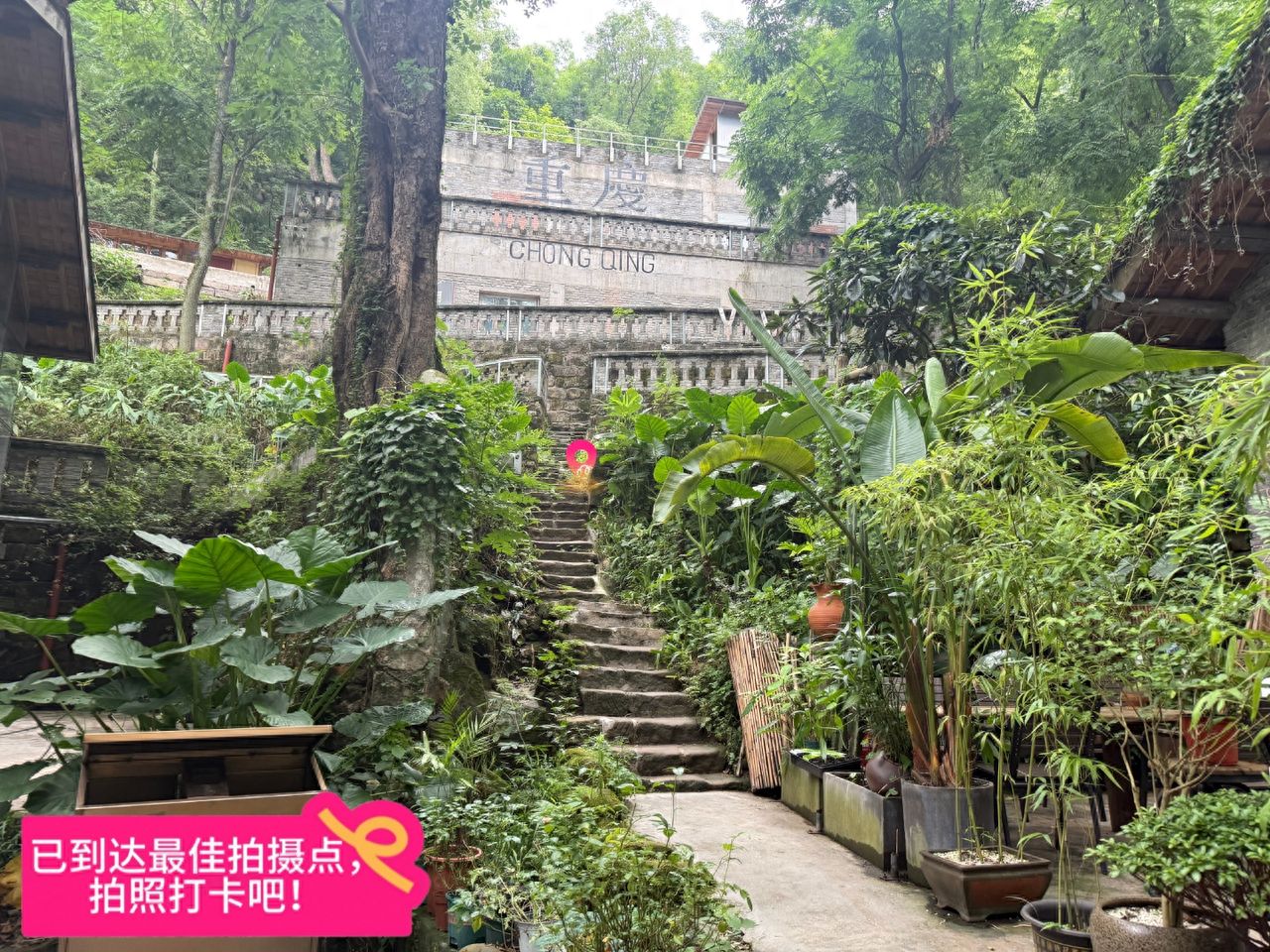 Arrived at the best photography spot. — step-by-step photo guide