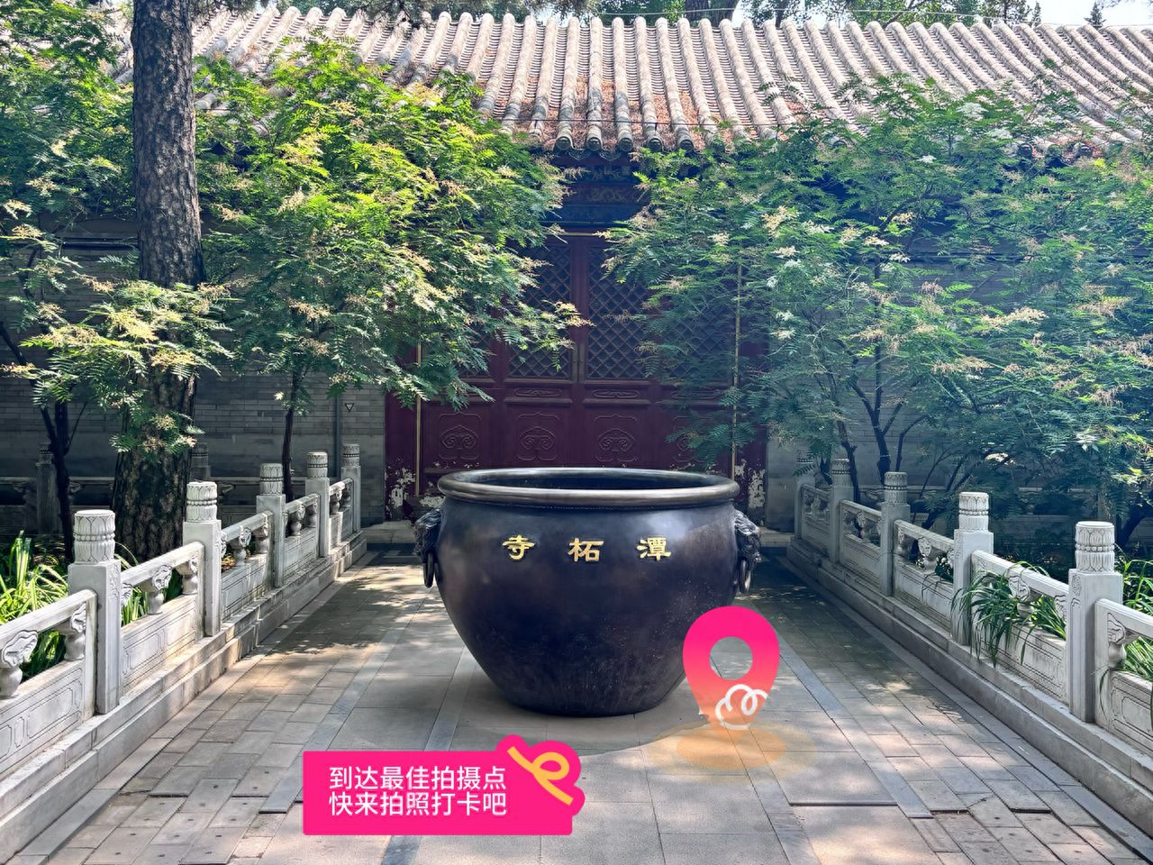 null — step-by-step photo guide