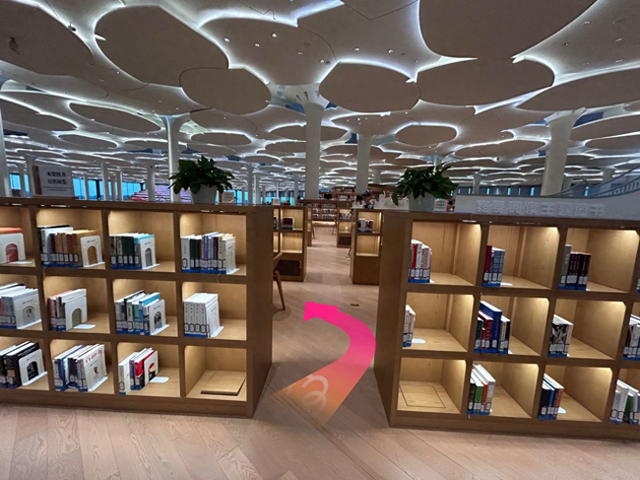 null — step-by-step photo guide