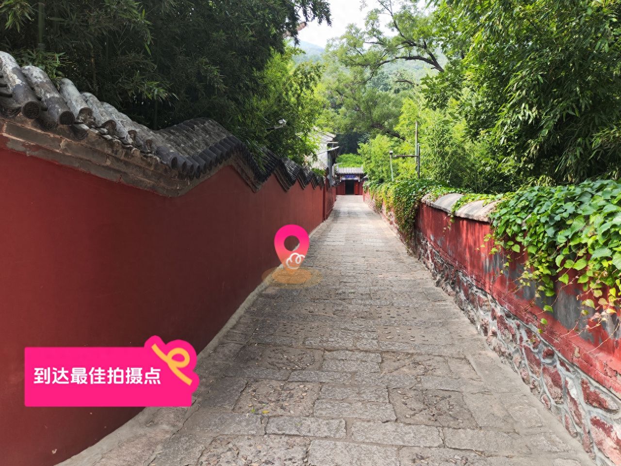 null — step-by-step photo guide