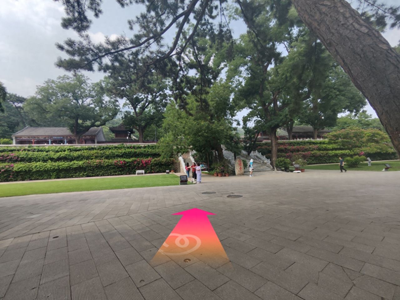 null — step-by-step photo guide