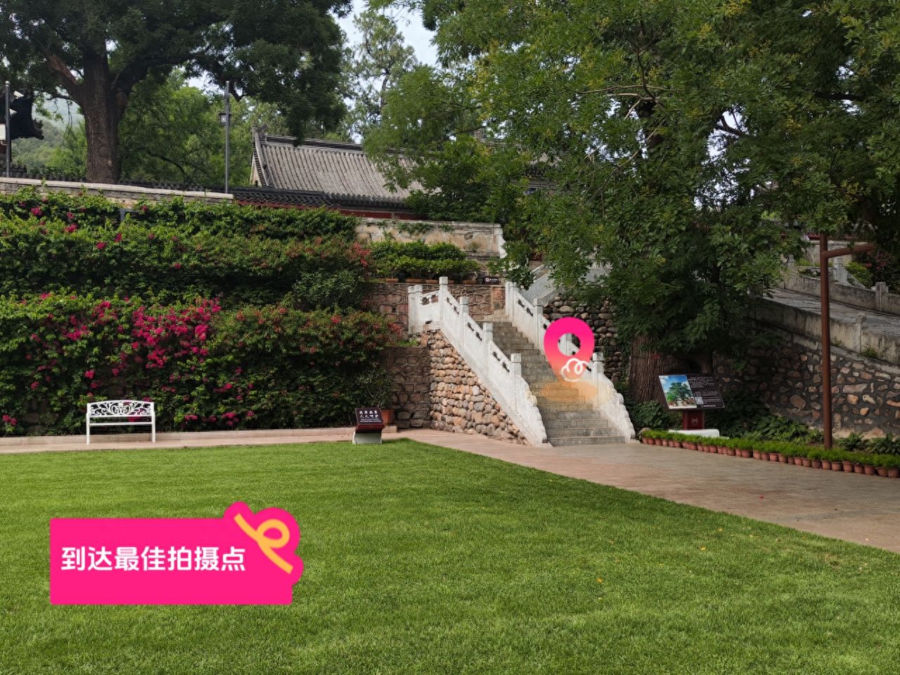 null — step-by-step photo guide