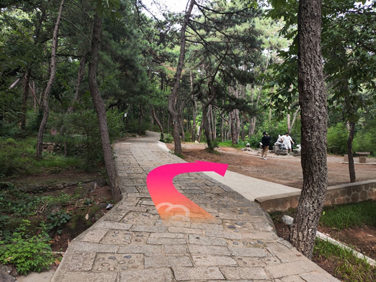 null — step-by-step photo guide