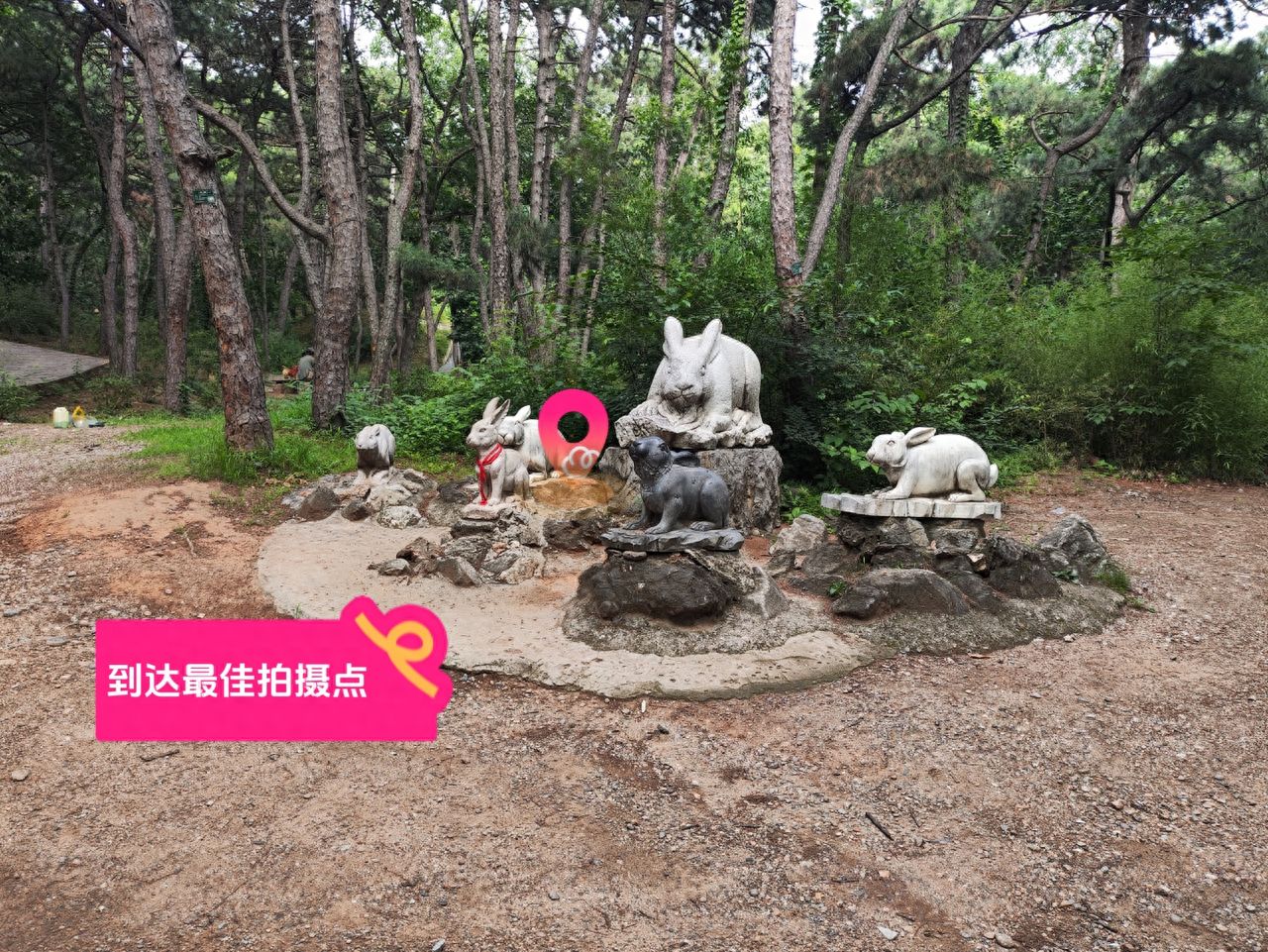 null — step-by-step photo guide