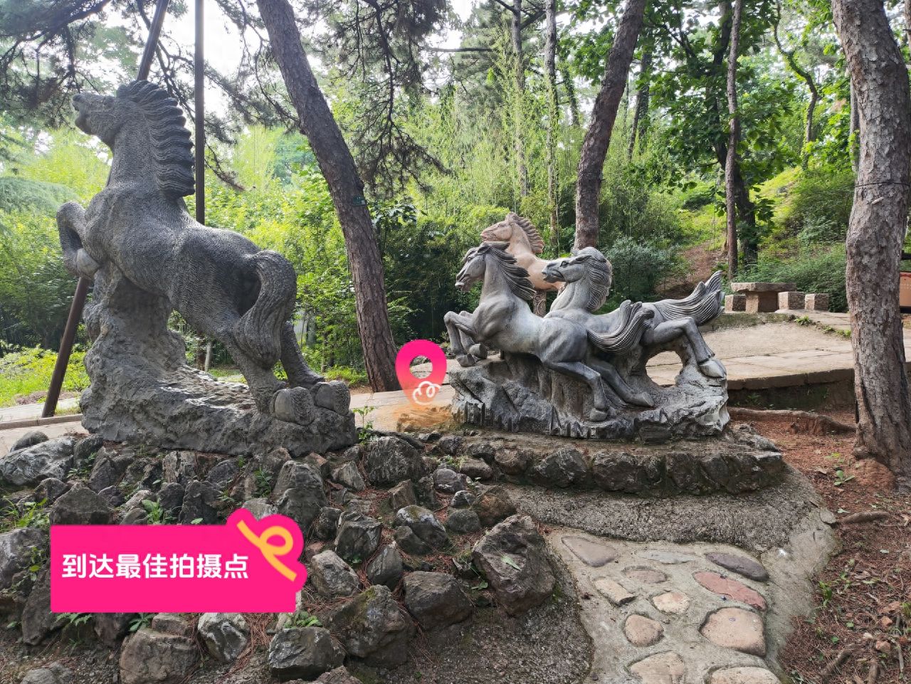 null — step-by-step photo guide