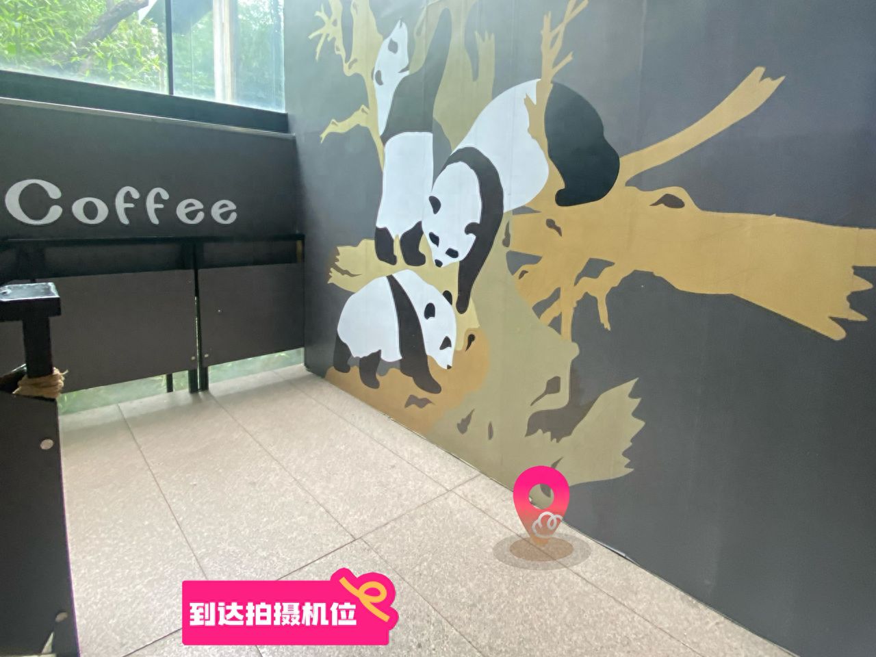 null — step-by-step photo guide