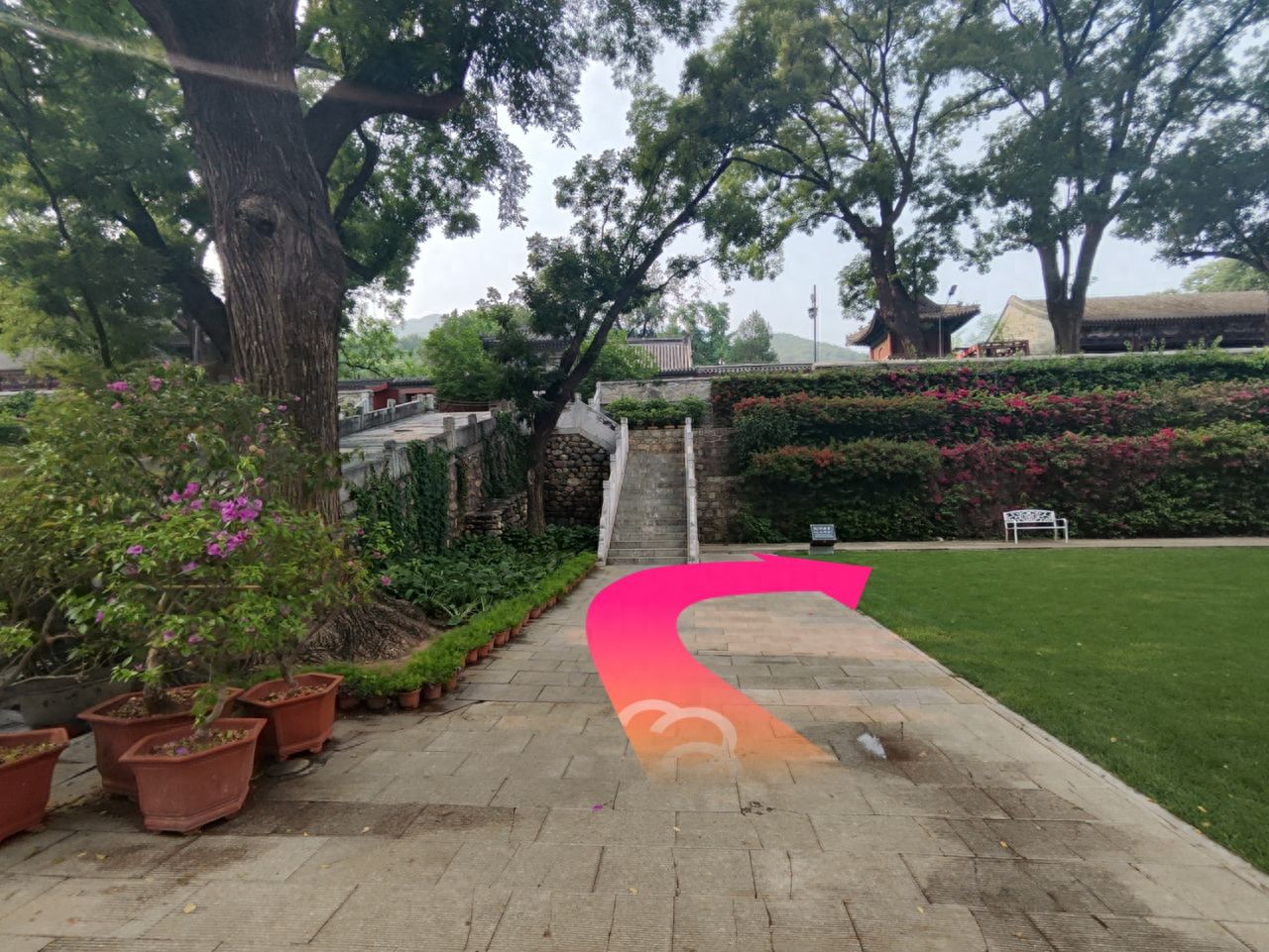 null — step-by-step photo guide