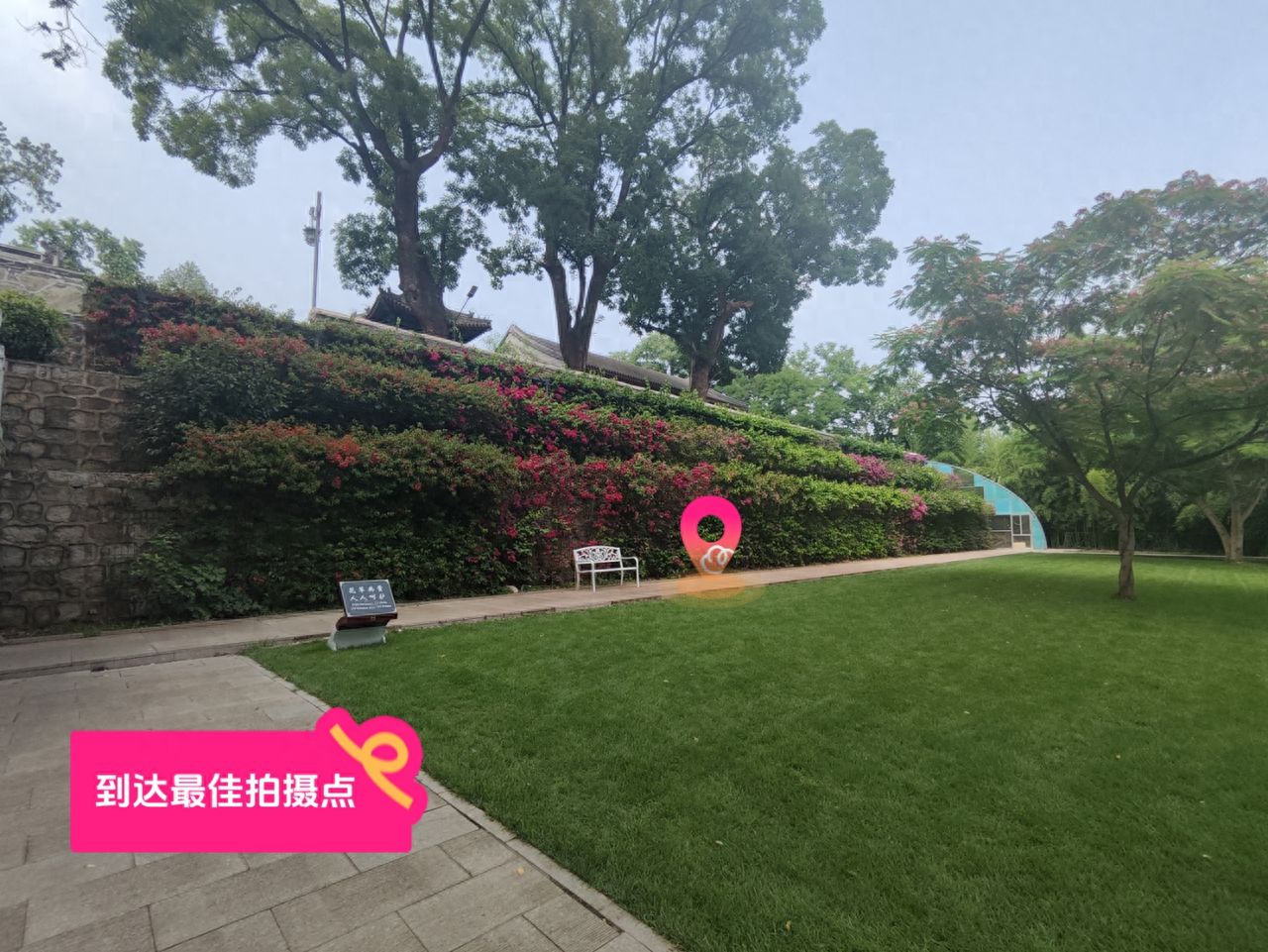 null — step-by-step photo guide