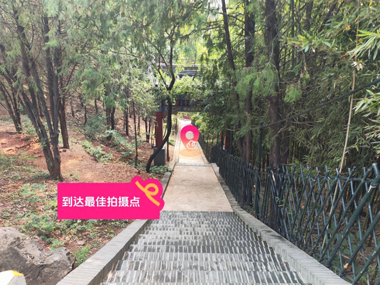 null — step-by-step photo guide