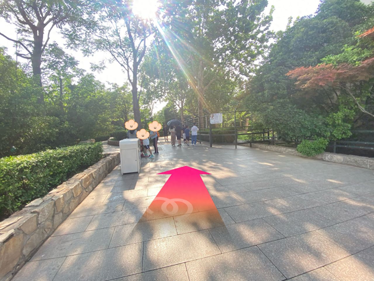 null — step-by-step photo guide