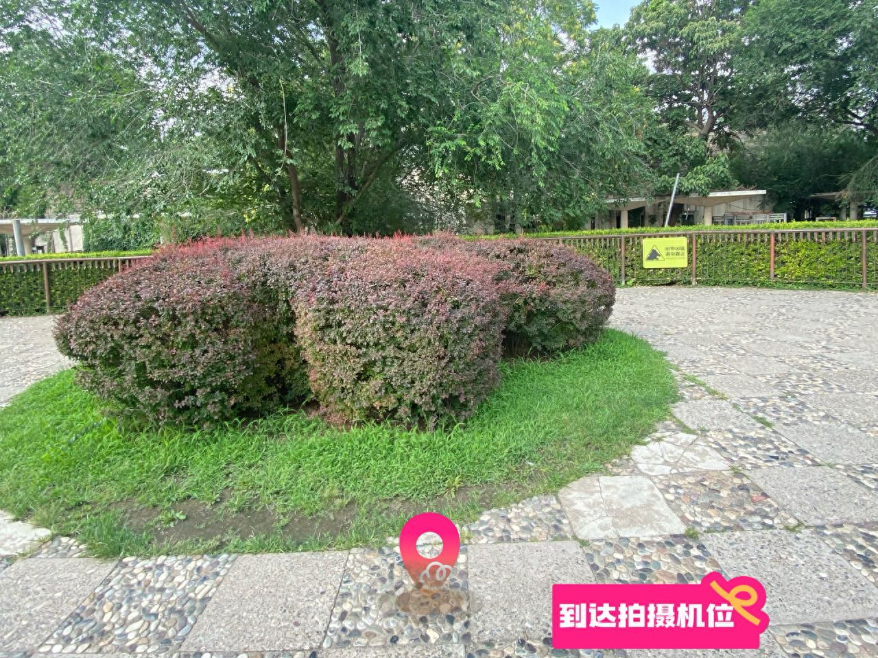 null — step-by-step photo guide