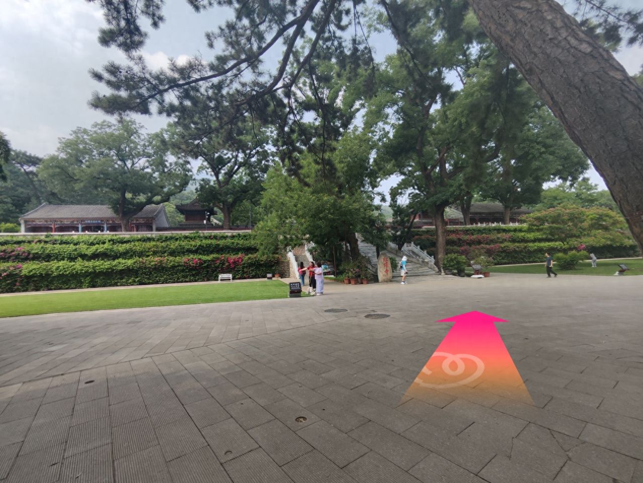 null — step-by-step photo guide