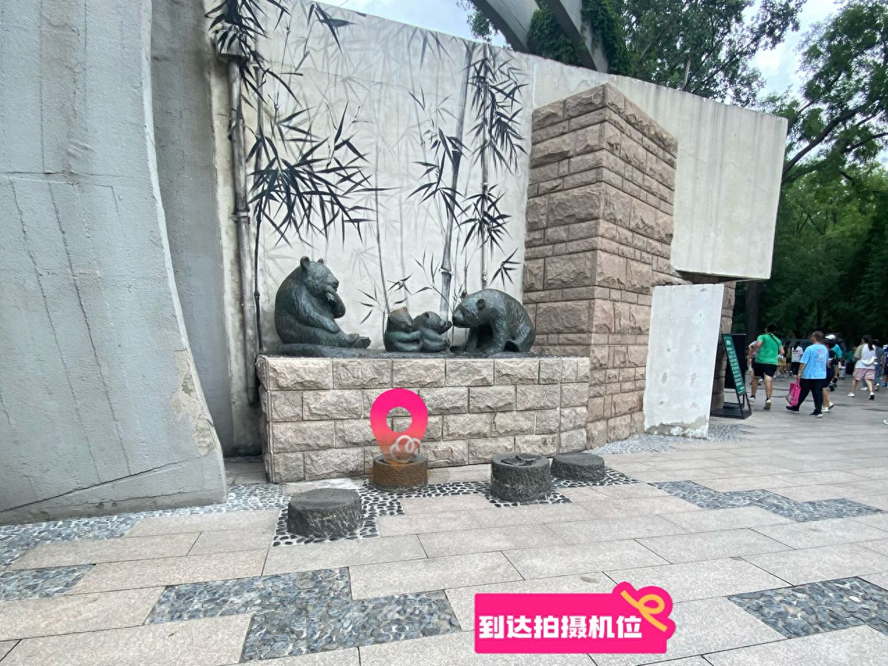 null — step-by-step photo guide