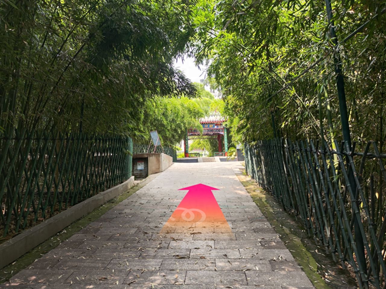 null — step-by-step photo guide