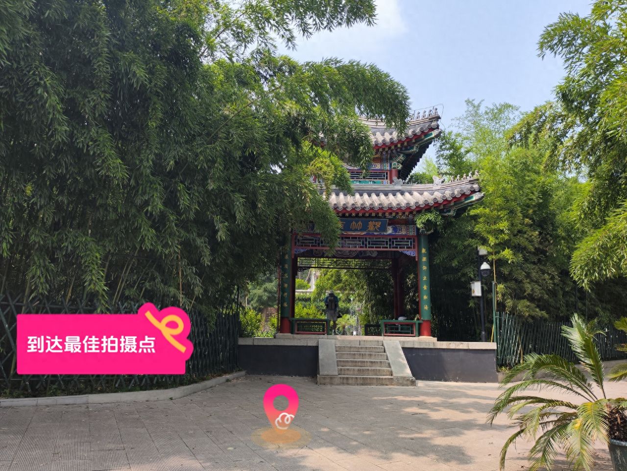 null — step-by-step photo guide