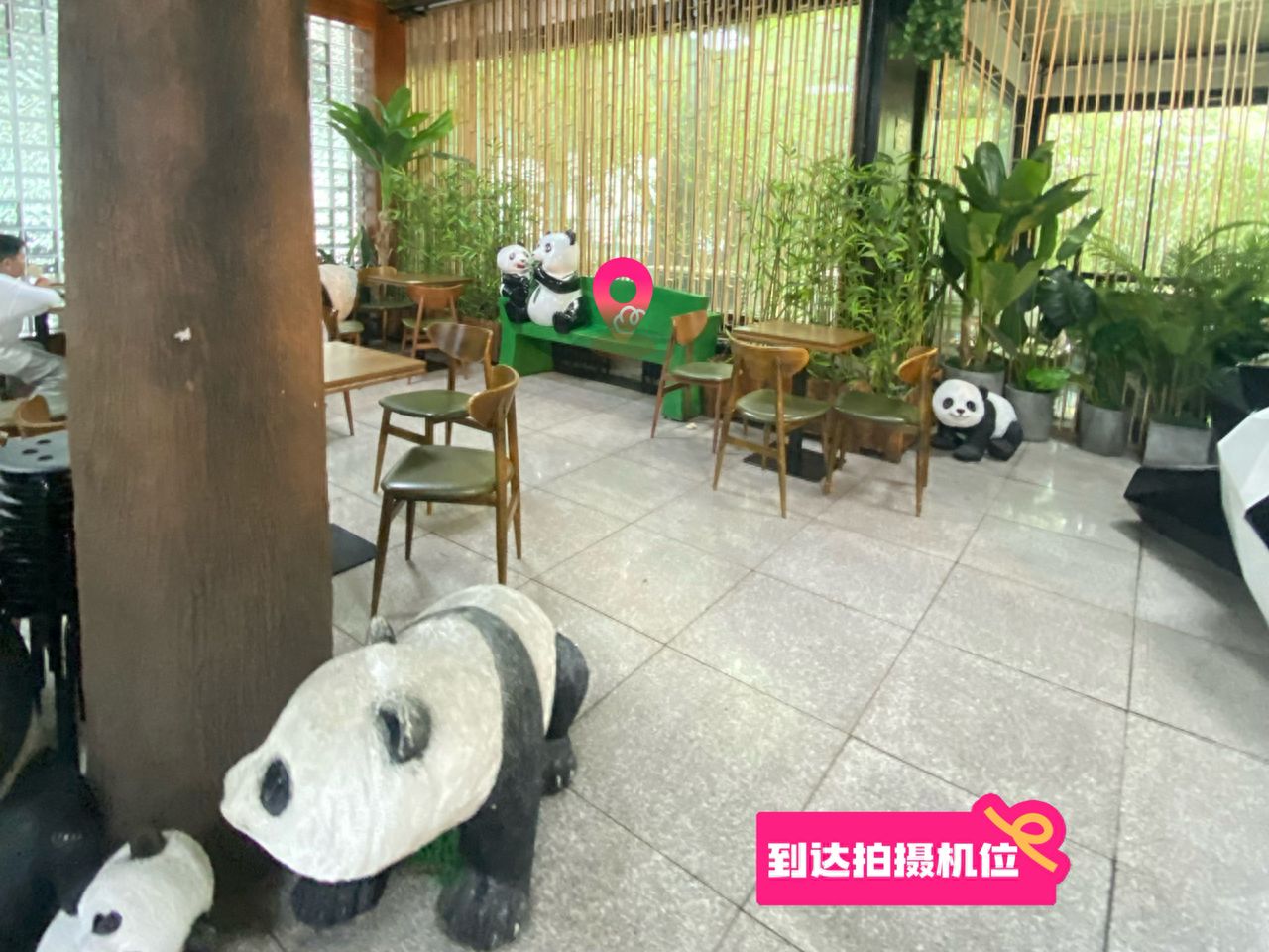 null — step-by-step photo guide